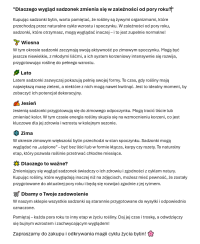 Przegorzan 'Ritro' – Stalowoniebieskie Kule w Ogrodzie | Lavender-Byliny