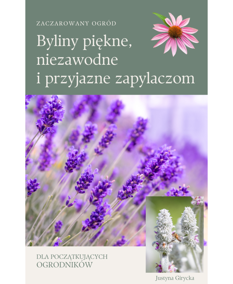 E-book o bylinach – przewodnik po roślinach do pięknego ogrodu